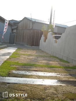 芝生