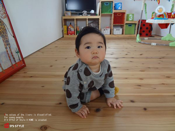 和歌山県 和歌山県