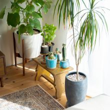 家っぽくないのがいい！ 二人の“好き”を叶えた家  vol.22