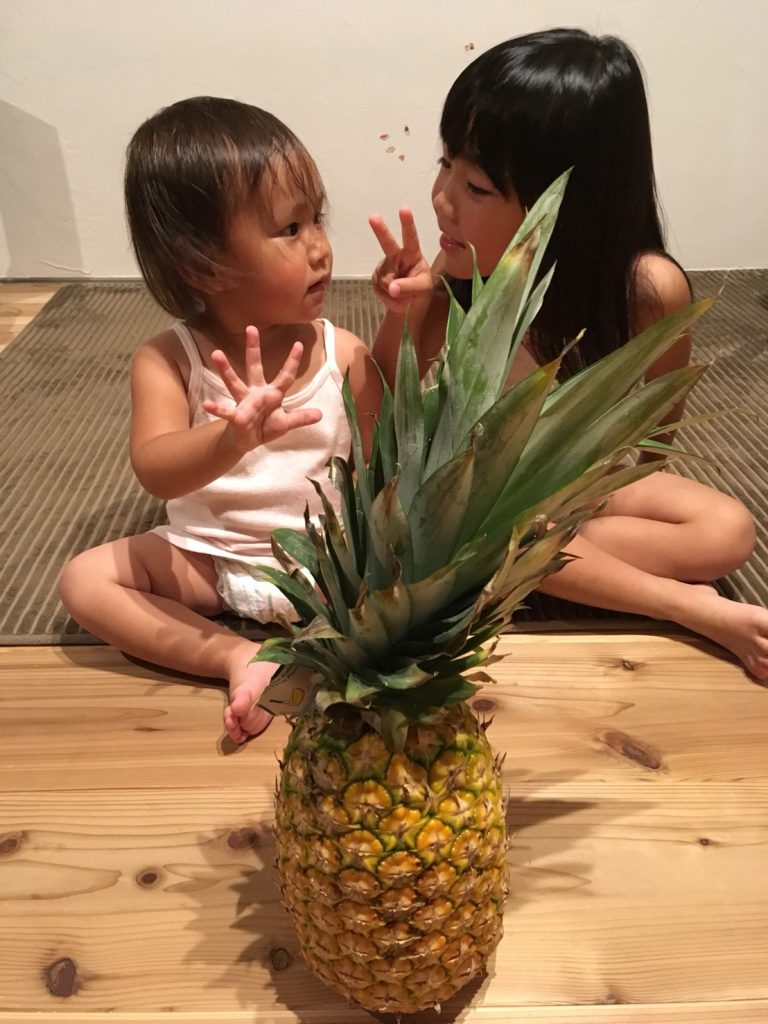 D’Sと娘とパイナップルと。