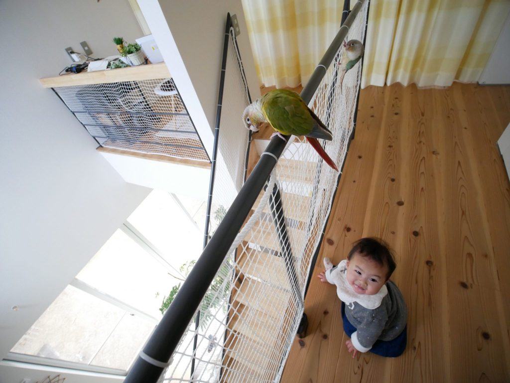 鳥も子供も楽しいD’Sのお家