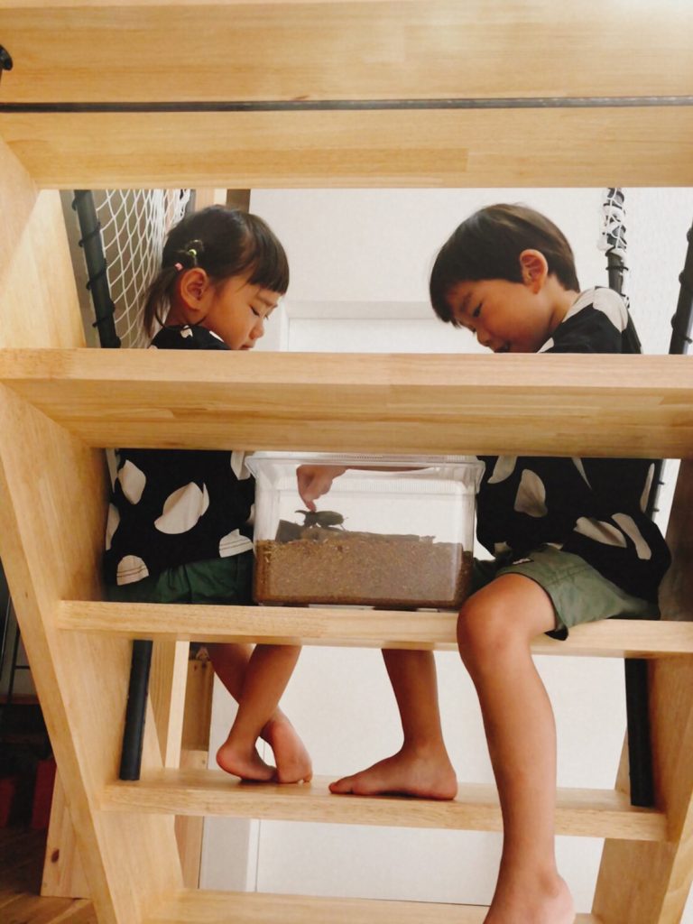 階段deかんさつ