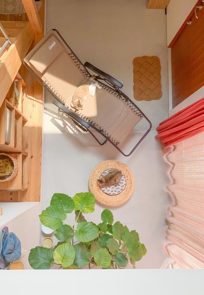 ねこも土間では眠くなる