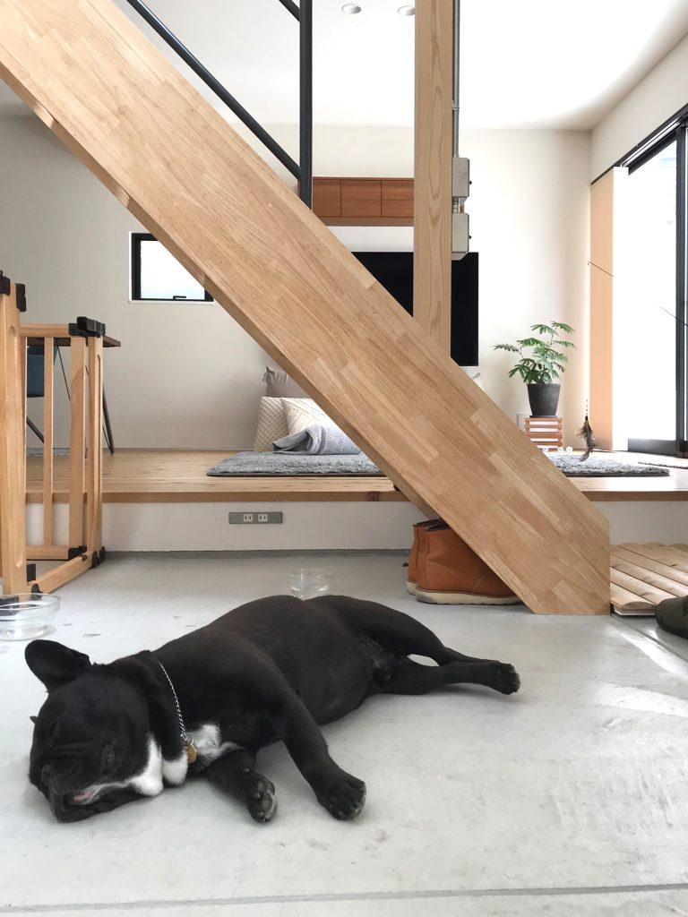 やっぱりどま。〜2020夏〜