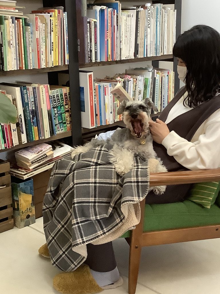 土間読書
