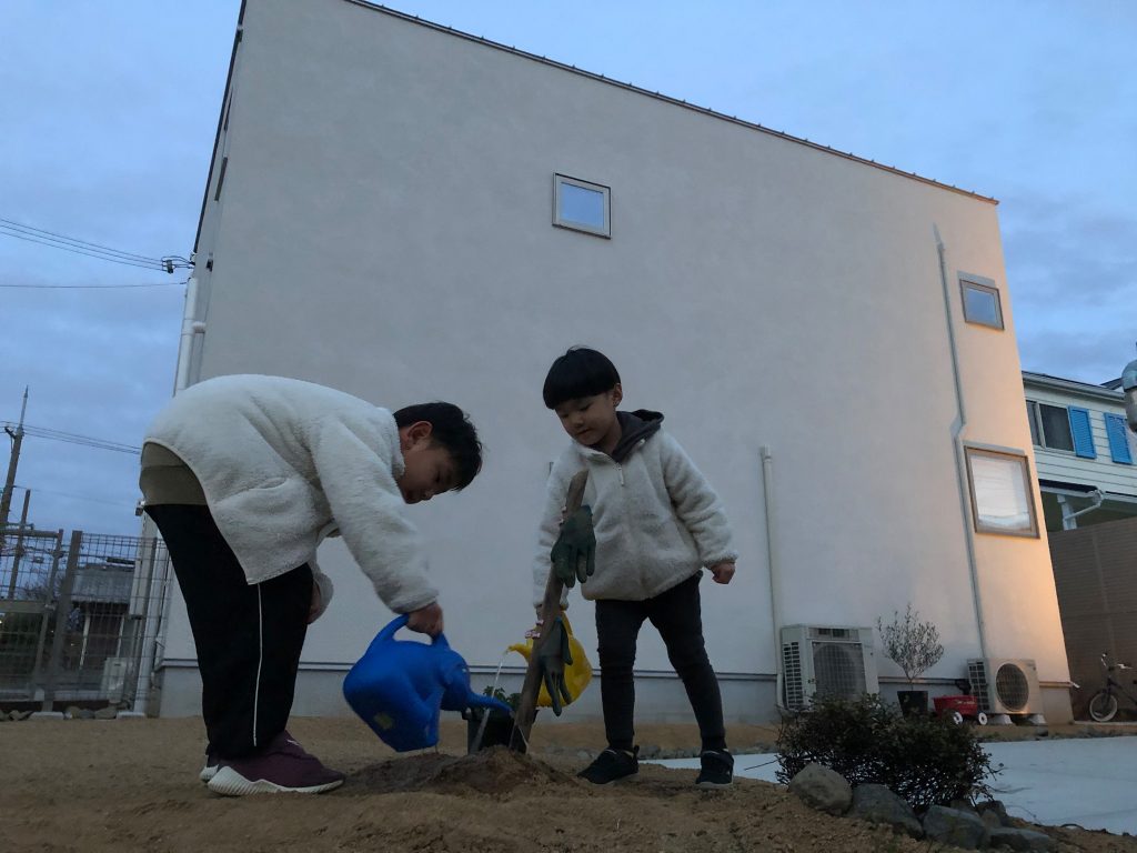 ゴム手袋の木
