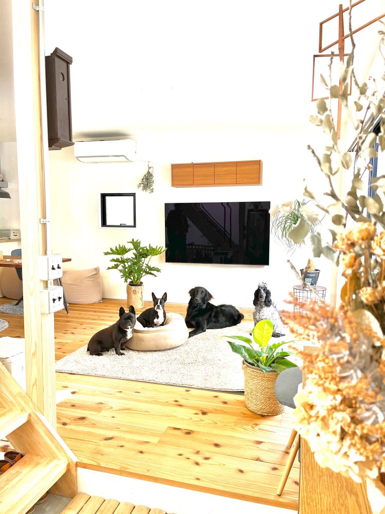 DOG CAFE