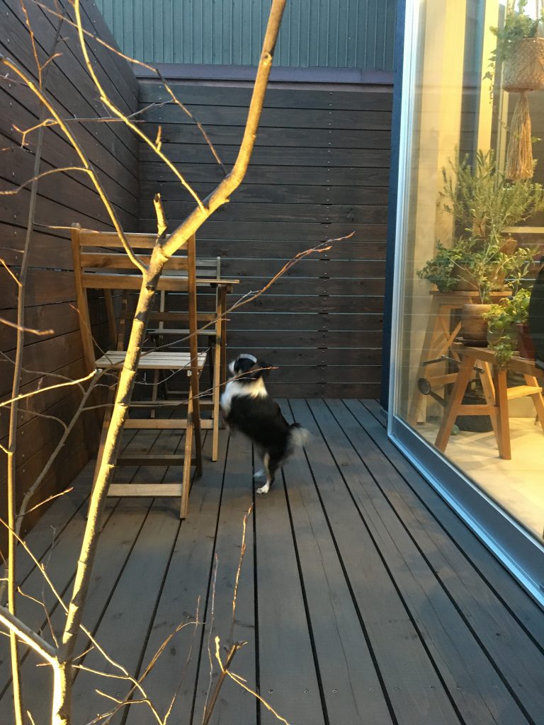 テラスの過ごし方