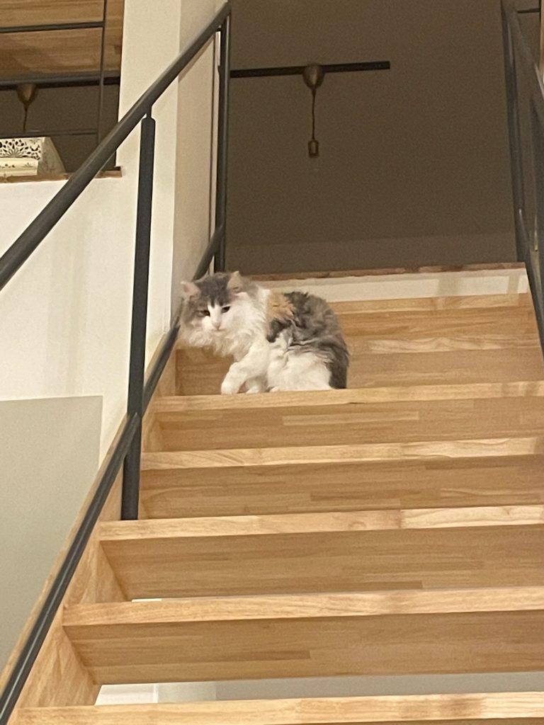 2階へ