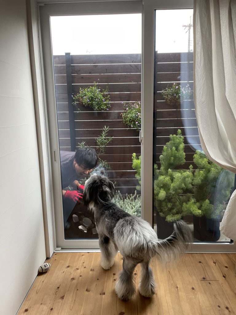 おにごっこ