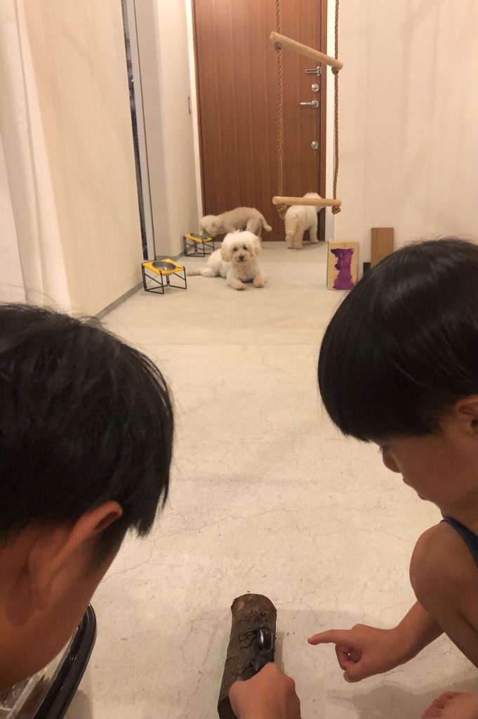 やきもち