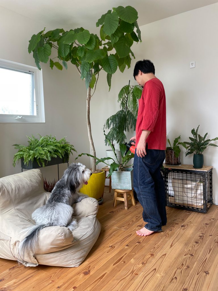 癒しの時間
