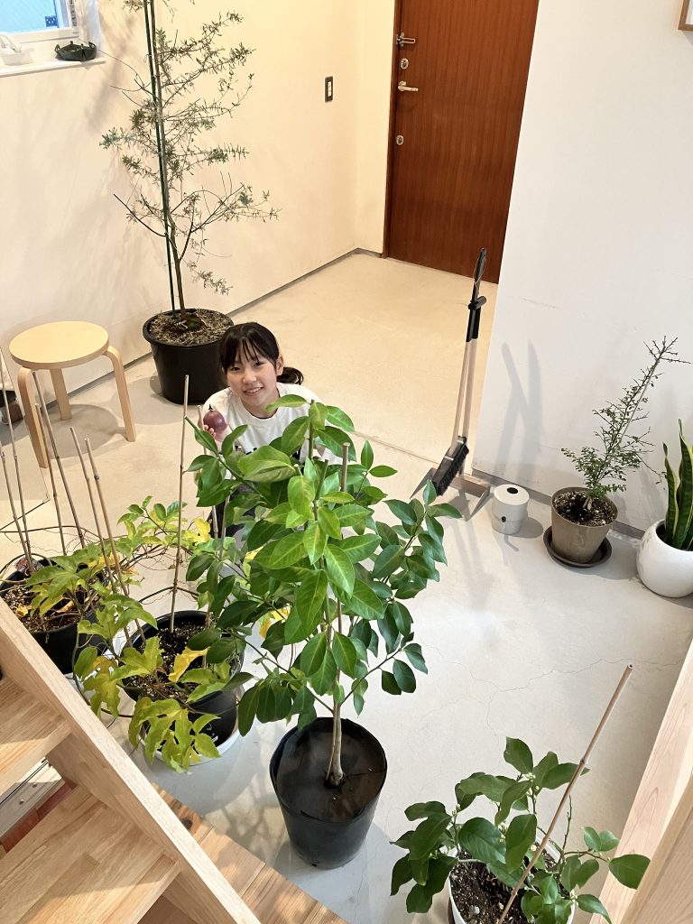 土間で収穫！