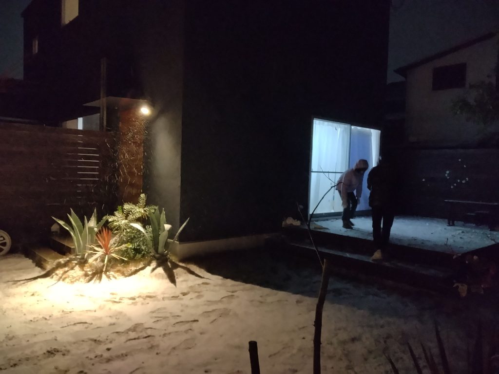 今年初めての雪