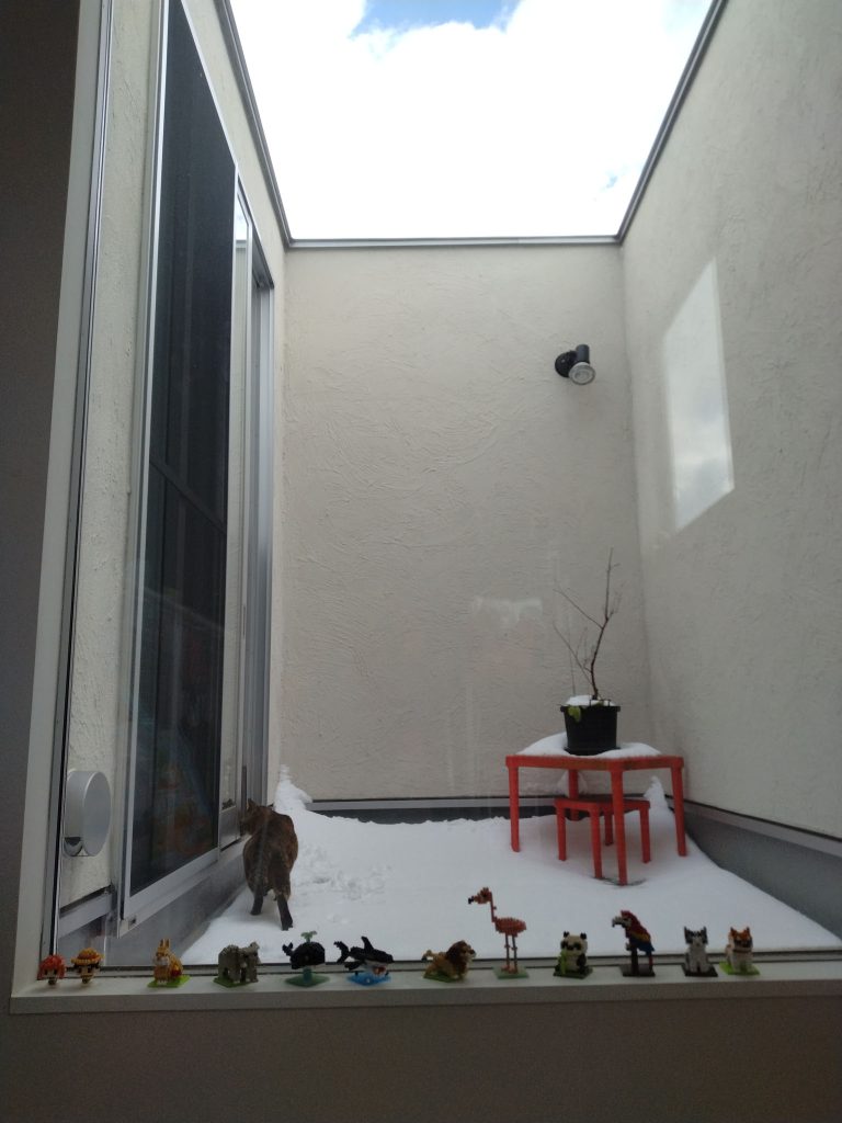 初めての雪