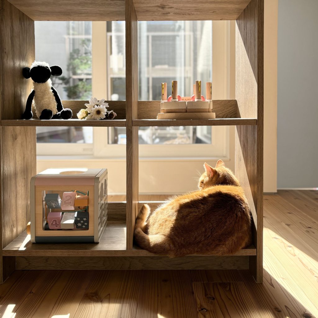 猫も収納？