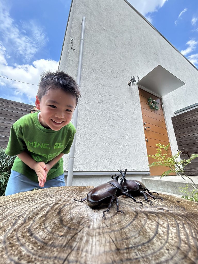 夏空、汗、カブトムシ、勝負
