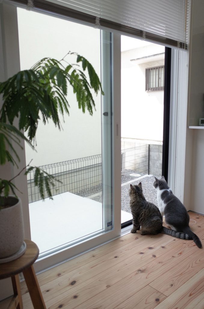 はじめての、庭。