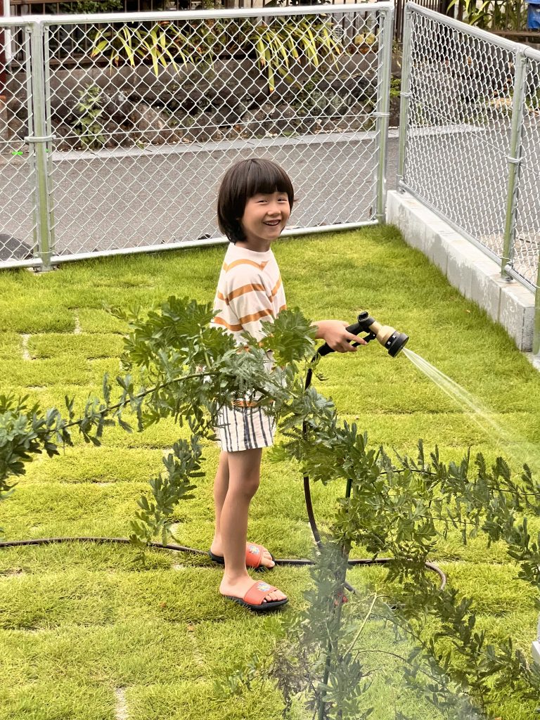 芝生の水やりはボクの仕事