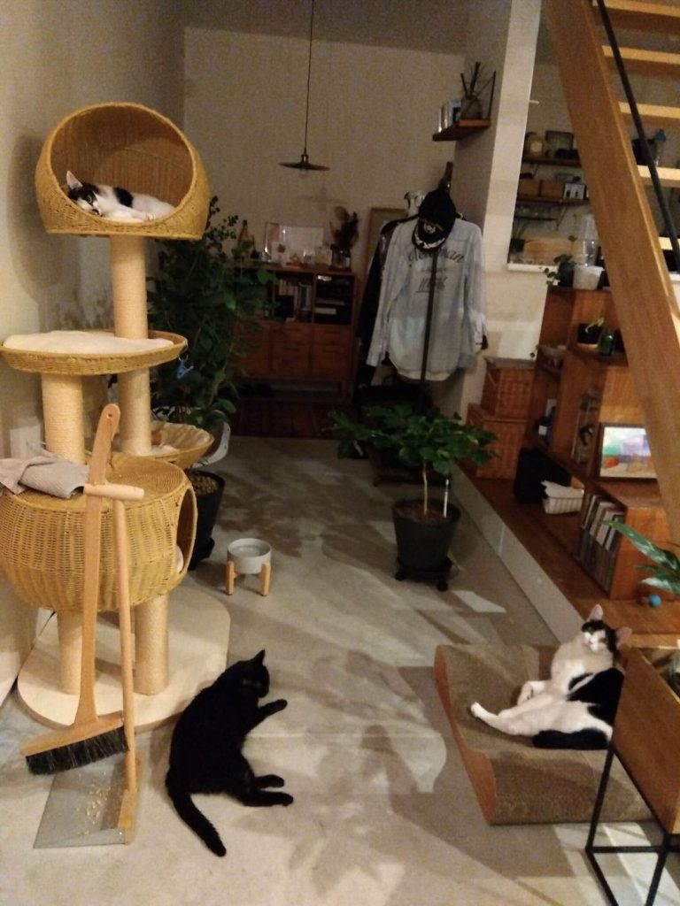ドマチル