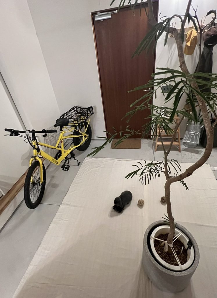 土間でへやんぽ中