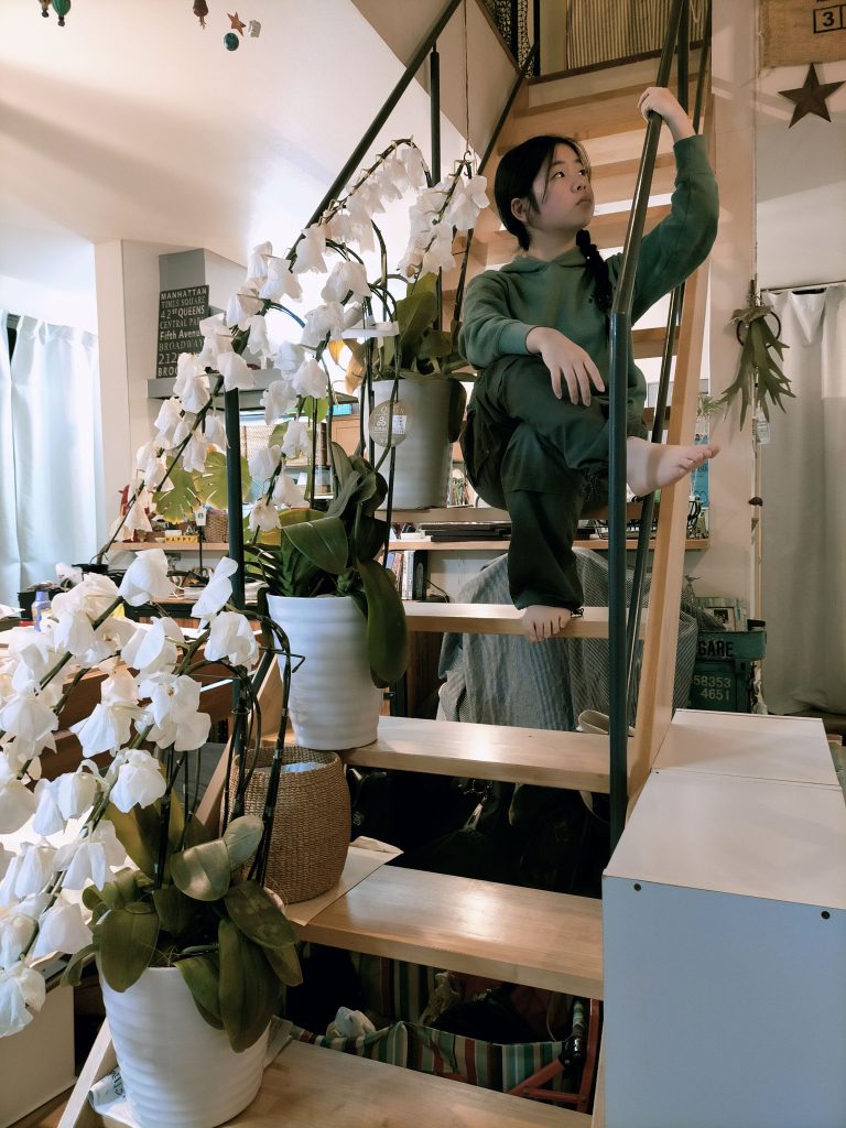 階段花壇-かいだんかだん-