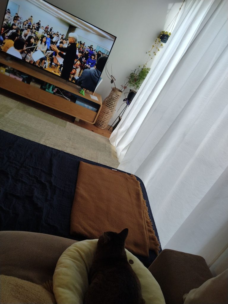 特等席