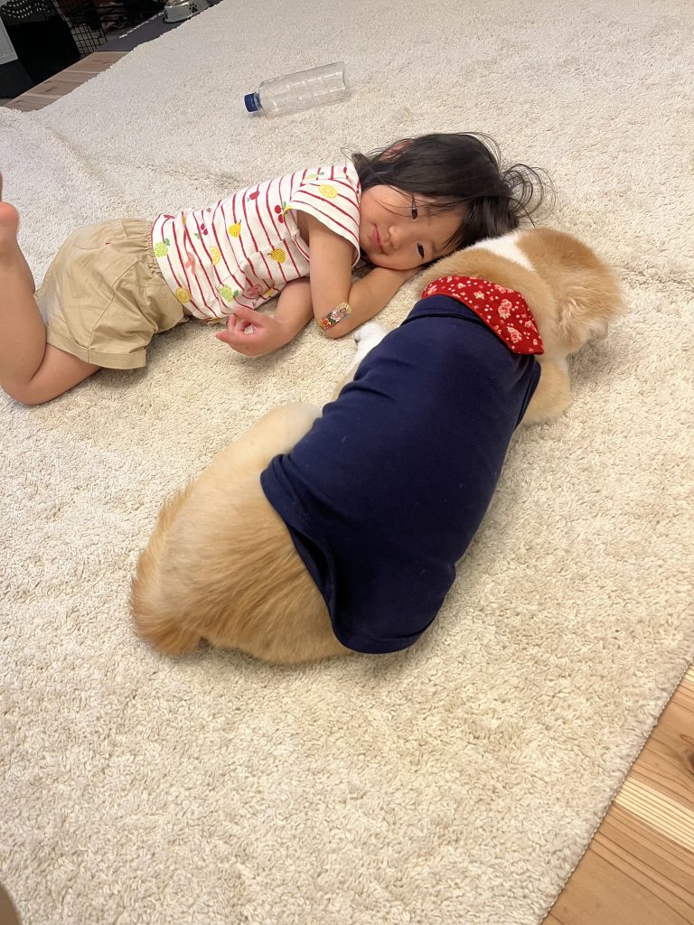 一緒にねんね