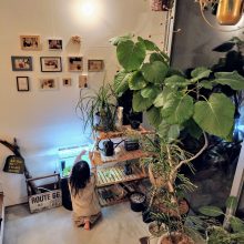 メダカさんのご飯タイム🐟️