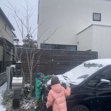 待ちわびた雪