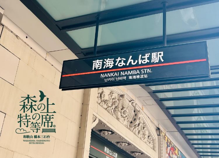 森の上の特等席(モリノウエ) 和歌山 橋本三石台 南海なんば駅写真