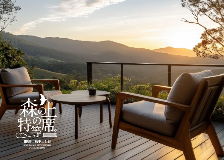 森の上の特等席(モリノウエ) 和歌山 橋本三石台 イメージ画像