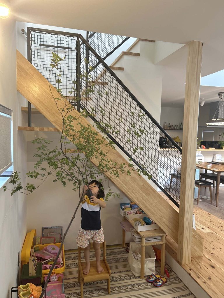 小さな手と大きな木