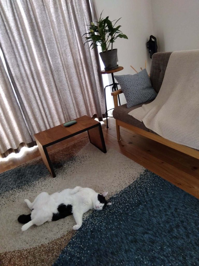 令和七年 ハチ月、夏